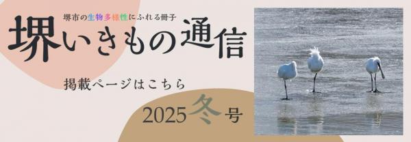 sakaiikimonotsushin7